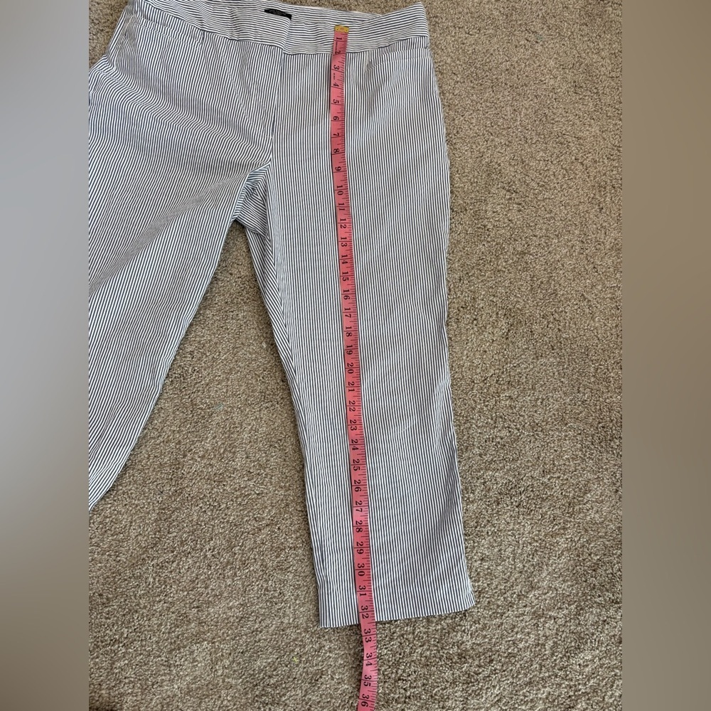 Ann Taylor Factory Women’s Pants - Picture 3 of 6